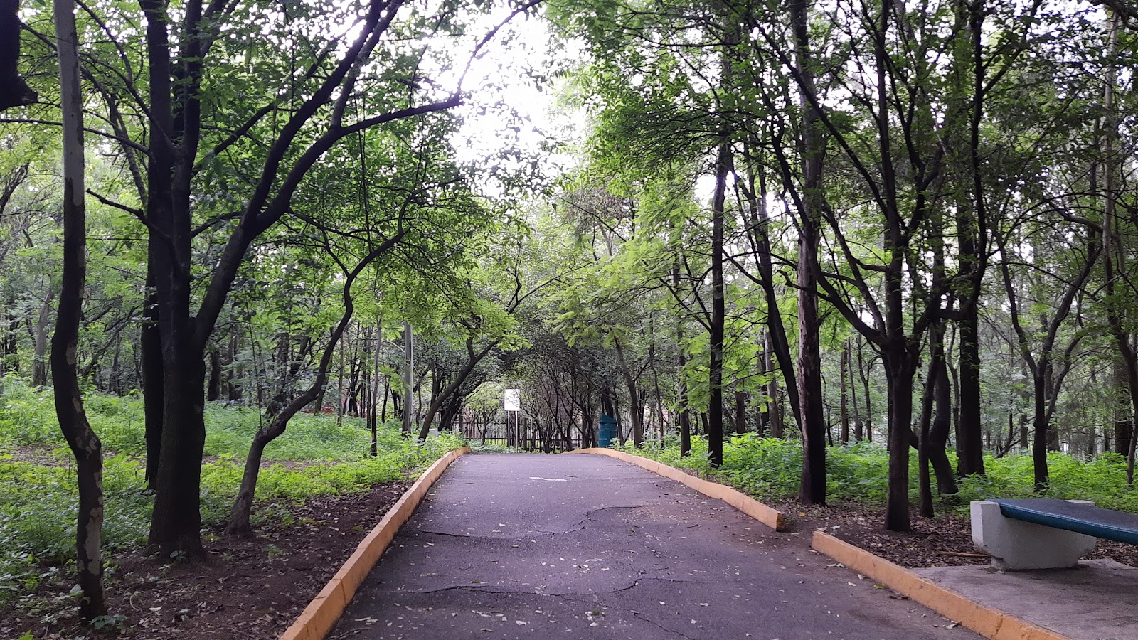 Once disciplinas: el catálogo deportivo del parque